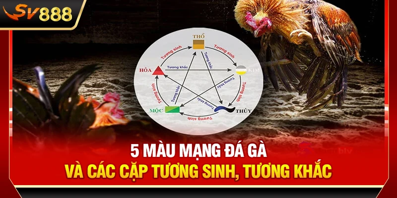 SV888 Chia Sẻ 5 Màu Mạng Đá Gà Và Các Cặp Tương Sinh, Tương Khắc