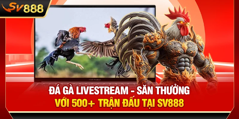 Đá Gà Livestream - Săn Thưởng Với 500+ Trận Đấu Tại SV888