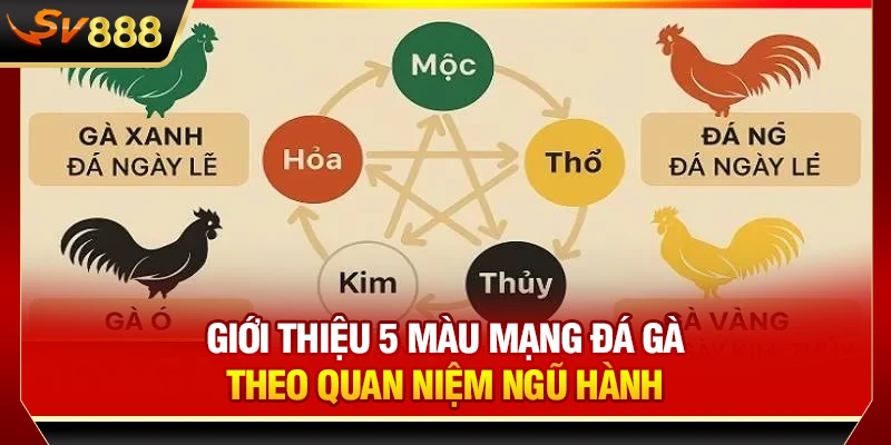Giới thiệu 5 màu mạng đá gà theo quan niệm ngũ hành