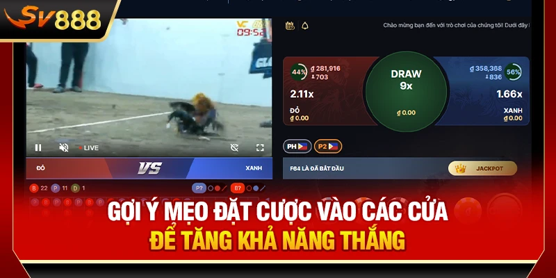 Gợi ý mẹo đặt cược vào các cửa để tăng khả năng thắng