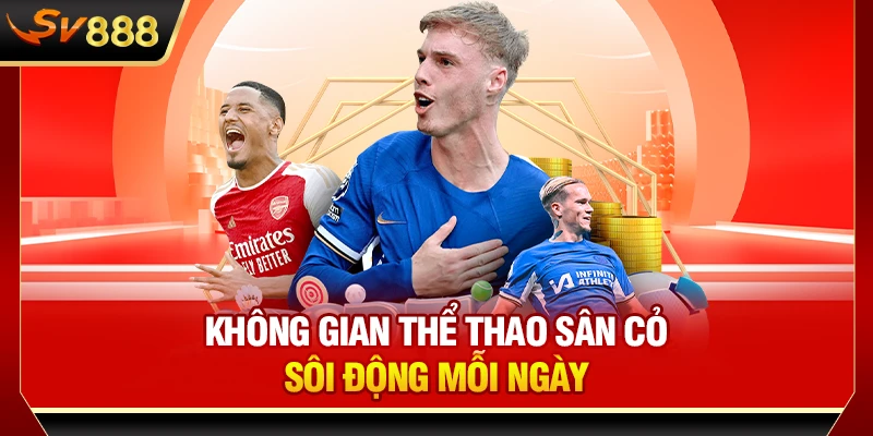Không gian thể thao sân cỏ sôi động mỗi ngày