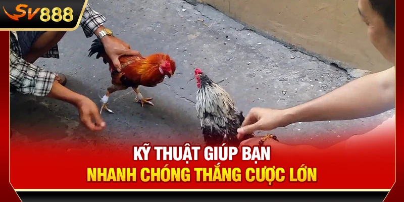 Kỹ thuật giúp bạn nhanh chóng thắng cược lớn