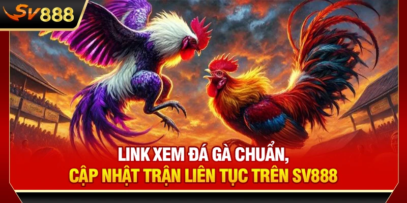 Link Xem Đá Gà Chuẩn, Cập Nhật Trận Liên Tục Trên SV888
