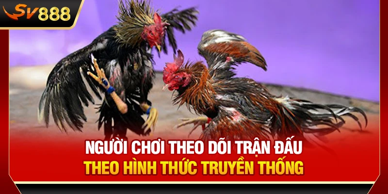 Người chơi theo dõi trận đấu theo hình thức truyền thống