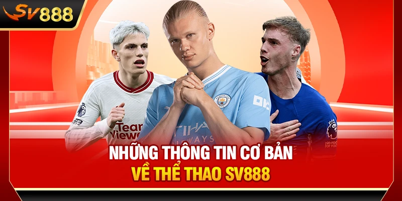 Những thông tin cơ bản về thể thao SV888