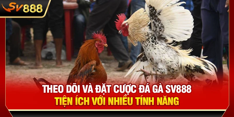 Theo dõi và đặt cược đá gà SV888 tiện ích với nhiều tính năng