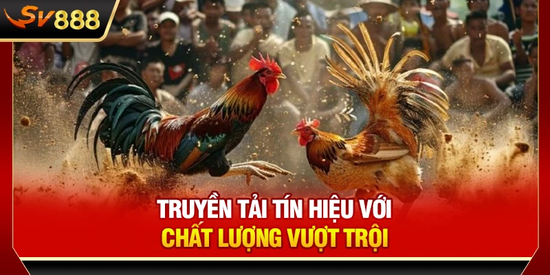Truyền tải tín hiệu với chất lượng vượt trội