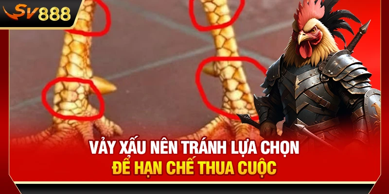 Vảy xấu nên tránh lựa chọn để hạn chế thua cuộc